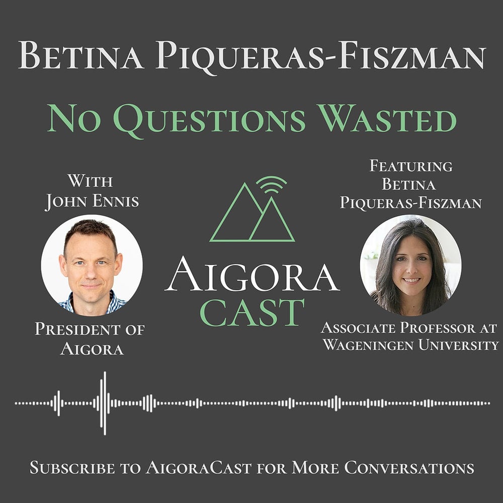 Betina Piqueras-Fiszman - No Questions Wasted